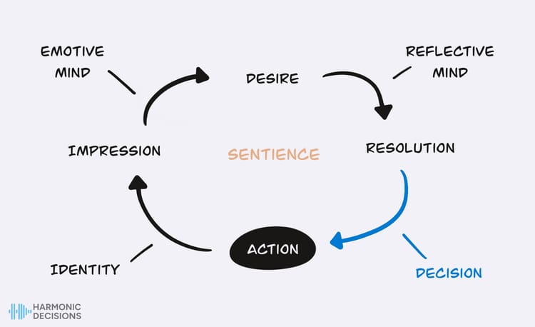 The Decision Cycle