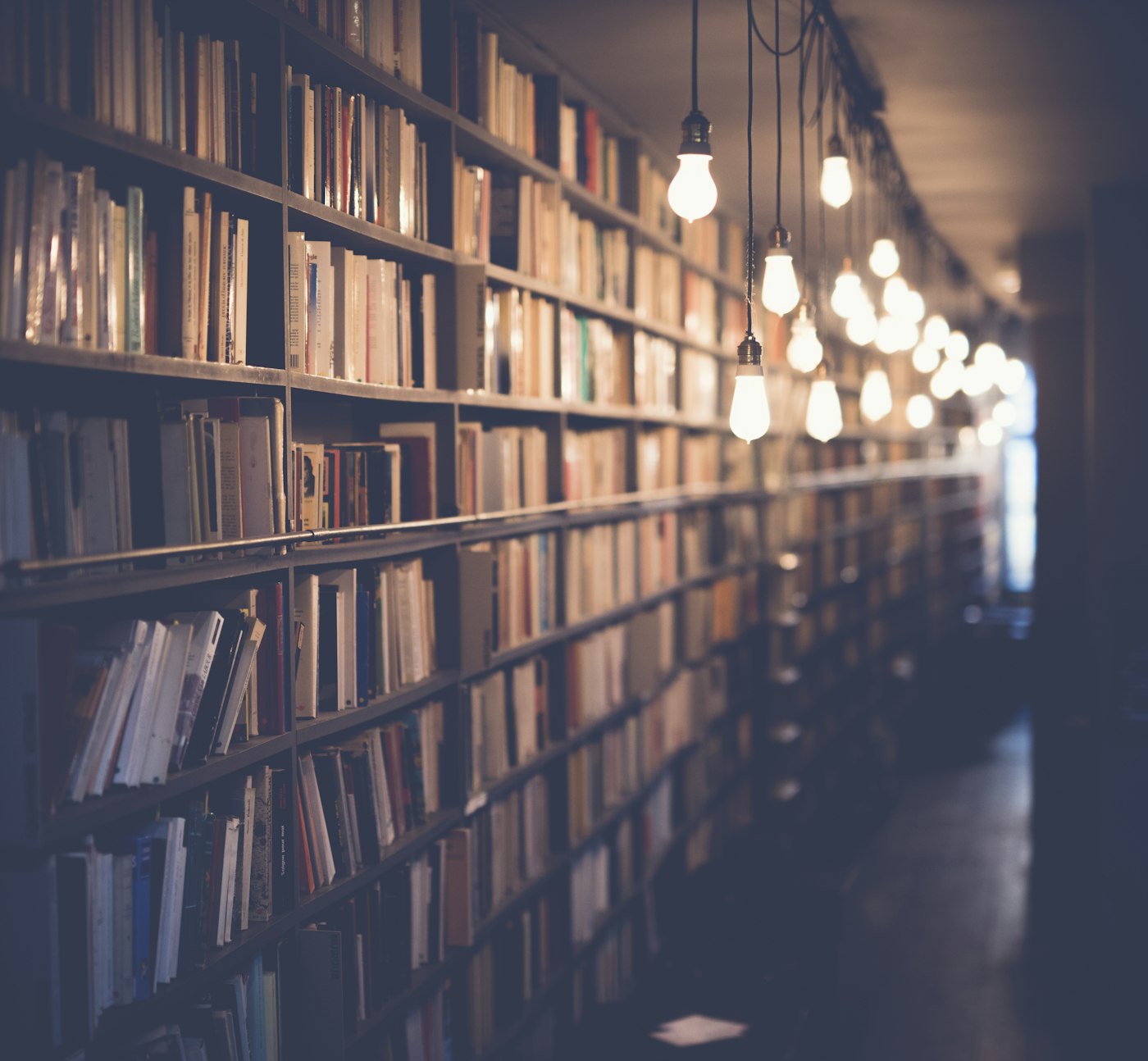 Books on warm wooden shelves